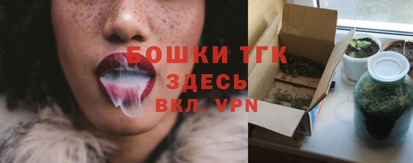 дживик Каменногорск