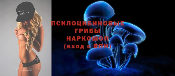 дживик Каменногорск