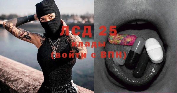 дживик Каменногорск