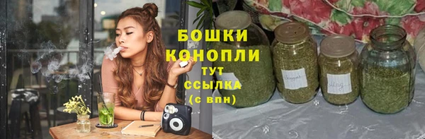 дживик Каменногорск