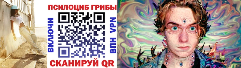 Купить  Тетюши  Псилоцибиновые грибы прущие грибы 