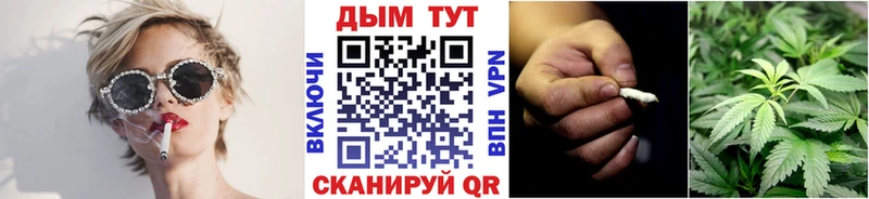 Бошки Шишки сатива  Купить закладки  Тетюши 